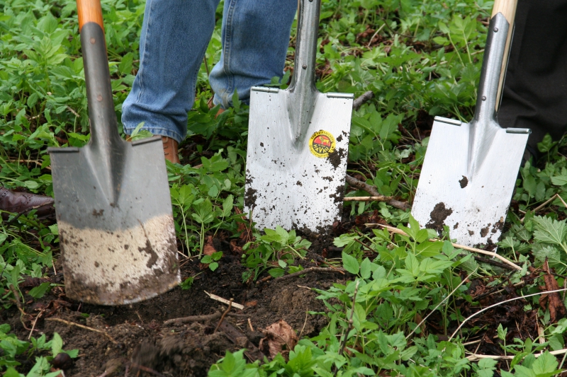 pepiniere-LES MUJOULS-min_work-lawn-flower-tool-green-backyard-1103633-pxhere.com